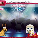 ���� ������, �����-���������, 24 ���� - ��������� 13 ������ 2010 � ������ �PetLove�