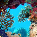 ���� ����, �����, 28 ��� - ��������� 20 ������ 2010 � ������ ���� ����������