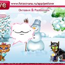  , , 34  -  10  2010   PetLove