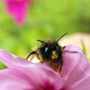 ���� ���������, ������, 61 ��� - ��������� 1 ��� 2011 � ������ ��������...�