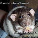 ���� Neznakomka, ������ - ��������� 11 ���� 2012