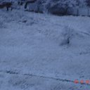 ���� �����, �����������, 39 ��� - ��������� 29 ������� 2010 � ������ ������� 29/12/10�