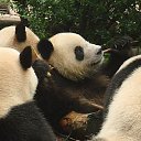 ���� ����. ��������� �� ��!, ������, 72 ���� - ��������� 27 ����� 2011 � ������ ��������߻