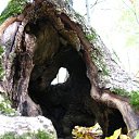 ���� ����, ������, 39 ��� - ��������� 9 ������� 2009 � ������ ����.....������...!!!!!!!!!!)))))))�