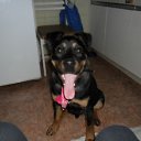 ���� Slast, �������, 38 ��� - ��������� 7 ������ 2012