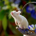 ���� ������� ������, �������, 56 ��� - ��������� 26 �������� 2012