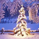 ���� ����, ������� - ��������� 4 ���� 2013 � ������ ������� �������
