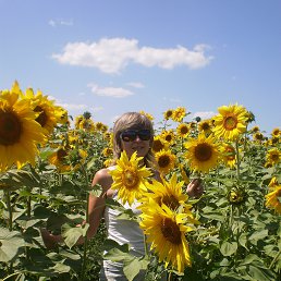 ���� �������, �����, 54 ���� - ��������� 25 ������ 2013