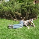 ���� ��������, ������, 27 ��� - ��������� 2 ������ 2009 � ������ ������� 2009�