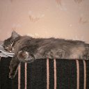 ���� �����. ������ �� �����... �� ������� ���� ������ ����� ������!!!�