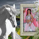 ���� ������, �����-���������, 58 ��� - ��������� 12 ���� 2011 � ������ ���� ����������