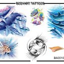  , , 37  -  6  2009   ))) 2