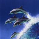 ���� ����, �������, 48 ��� - ��������� 10 ������� 2010 � ������ �������