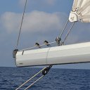 ���� ������, ������������, 67 ��� - ��������� 3 ������� 2011 � ������ ���� �� ���