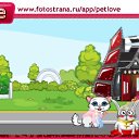  , , 25  -  19  2010   PetLove