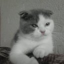 ���� ������, ��������, 48 ��� - ��������� 30 �������� 2012 � ������ �������