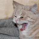 ���� ����, ���������, 54 ���� - ��������� 16 ���� 2013 � ������ �������