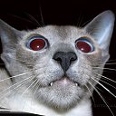 ���� ������, ������������, 51 ��� - ��������� 13 ������ 2010 � ������ ������� �������� �� ����..�