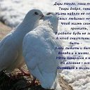 ���� �����, ������ - ��������� 14 ����� 2013 � ������ ���� ����������