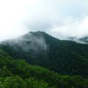  **** , , 64  -  19  2012    2012