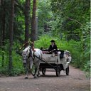 ���� �������, �����-���������, 54 ���� - ��������� 8 �������� 2011 � ������ ��������