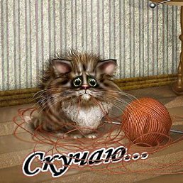 ���� Simpa, ������, 29 ��� - ��������� 7 ���� 2013