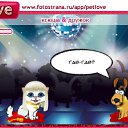  Angel L(  !!!   !!!), , 44  -  11  2010   PetLove