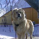 ���� ����, ���������, 65 ��� - ��������� 21 ������ 2011