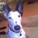 ���� �����, ������-���, 55 ��� - ��������� 10 ���� 2013