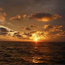 ���� ��������, �����������, 52 ���� - ��������� 11 �������� 2010 � ������ �������������