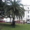 ���� ����, ������-��-����, 53 ���� - ��������� 17 ������ 2013 � ������ ���� ����������