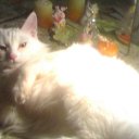 ���� �����, ������, 57 ��� - ��������� 10 �������� 2010 � ������ ���� �������� � ���߻