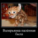 ���� ������, ��������� - ��������� 22 ������� 2012 � ������ ���� ����������