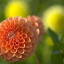 ���� ����� - ���������� ��������!!!, �����������, 56 ��� - ��������� 11 ������ 2010 � ������ ����������