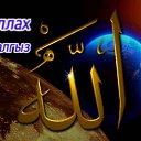 ���� �����, ������, 44 ���� - ��������� 4 ���� 2012 � ������ �Avataria�