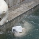 ���� ������� �����, ����������� - ��������� 29 ���� 2011 � ������ �������