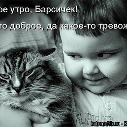 ���� ������, ���������, 44 ���� - ��������� 22 ������ 2013