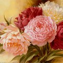 ���� ������, ������, 59 ��� - ��������� 9 ������� 2013 � ������ �����ۻ