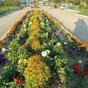 ���� �������, ������ ��������, 55 ��� - ��������� 14 ������ 2012 � ������ ���� ������� �����