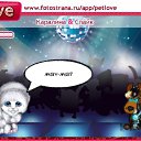 ���� �����������, ������, 24 ���� - ��������� 28 ������� 2010 � ������ �PetLove�