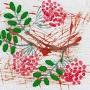 ���� �����, ������ �������� - ��������� 1 ������� 2009 � ������ ������