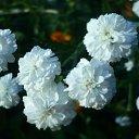  , -, 40  -  16  2011     