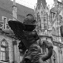 ���� Cat, ������, 44 ���� - ��������� 20 ������� 2010