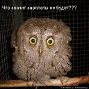 ���� �����, ��������, 40 ��� - ��������� 23 ������� 2010 � ������ �������������