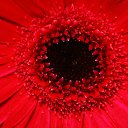 ���� ����� - ���������� ��������!!!, �����������, 56 ��� - ��������� 4 ������ 2010 � ������ �����ۻ