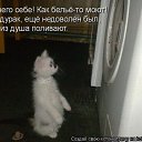 ���� ��������, ������ - ��������� 27 �������� 2010 � ������ ���������!!!�