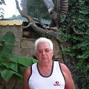 ���� �������, ������, 78 ��� - ��������� 8 ���� 2011