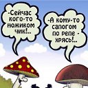 ���� ������, ���-����, 28 ��� - ��������� 15 ������� 2009 � ������ �������