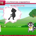  , , 34  -  27  2010   PetLove