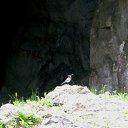 ���� ��������, ������, 55 ��� - ��������� 11 ���� 2011 � ������ ������ �� ��������� 2011 �.�